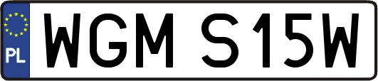 WGMS15W