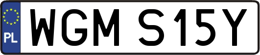 WGMS15Y