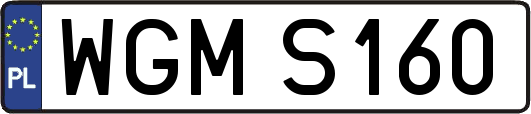 WGMS160
