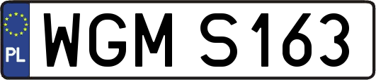 WGMS163