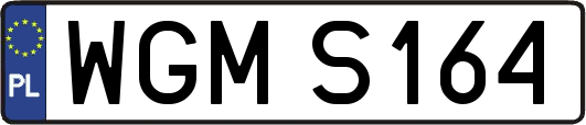 WGMS164