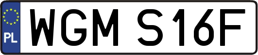 WGMS16F