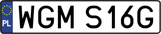 WGMS16G