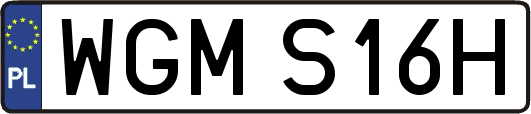 WGMS16H