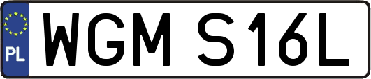 WGMS16L