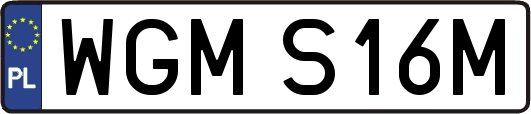 WGMS16M