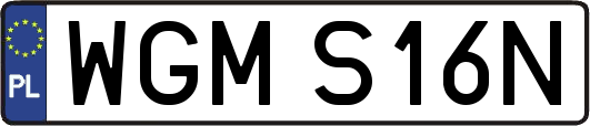 WGMS16N