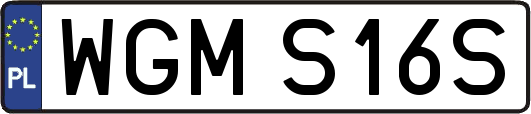 WGMS16S
