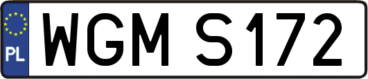 WGMS172