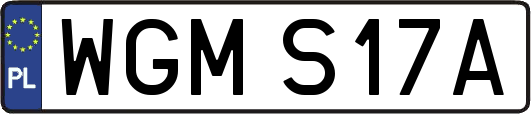 WGMS17A