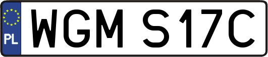 WGMS17C