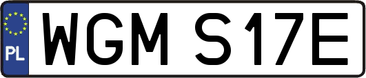 WGMS17E