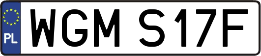 WGMS17F