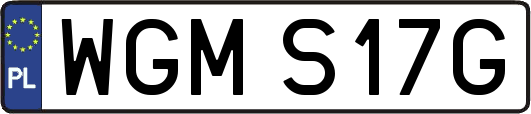 WGMS17G