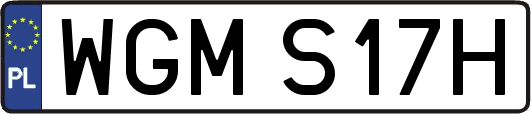 WGMS17H