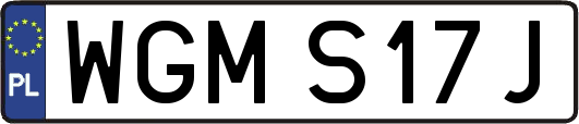 WGMS17J