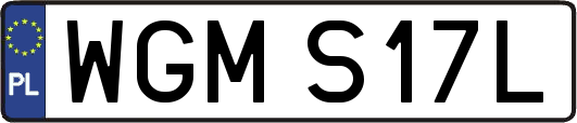 WGMS17L
