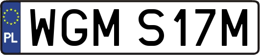 WGMS17M