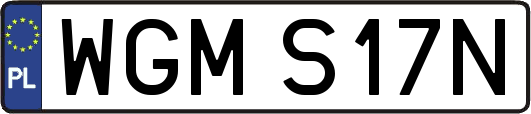 WGMS17N