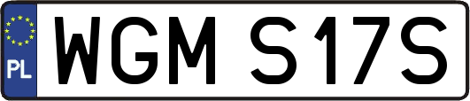 WGMS17S
