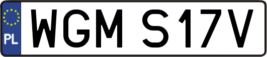 WGMS17V