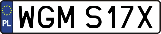 WGMS17X