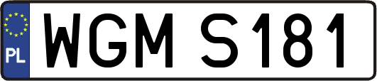 WGMS181