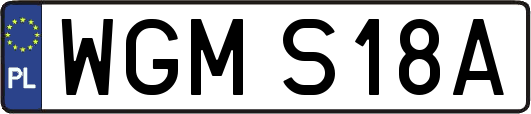 WGMS18A