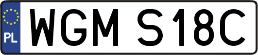 WGMS18C