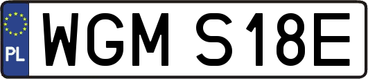 WGMS18E