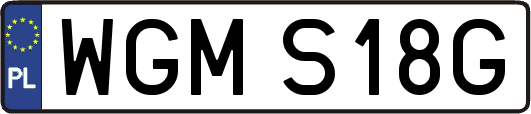 WGMS18G