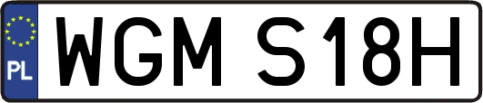 WGMS18H