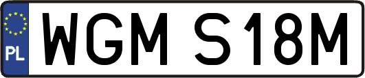WGMS18M