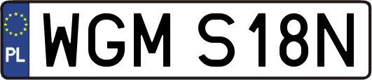 WGMS18N