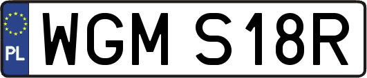 WGMS18R
