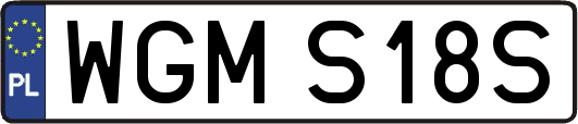 WGMS18S