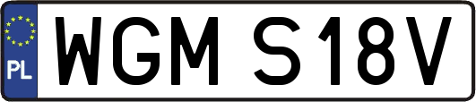 WGMS18V