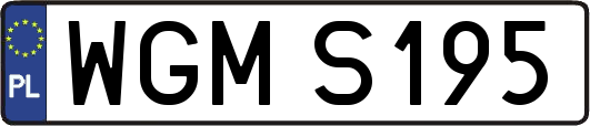 WGMS195