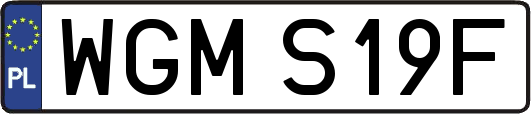 WGMS19F