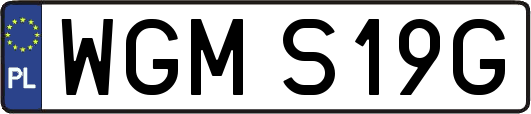WGMS19G