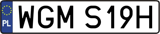 WGMS19H