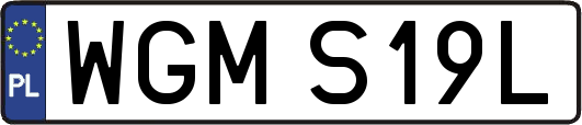 WGMS19L