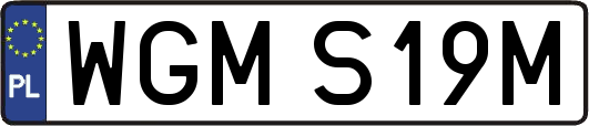 WGMS19M