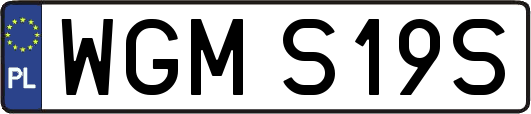 WGMS19S