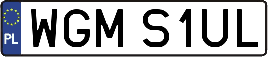 WGMS1UL