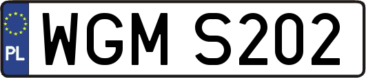 WGMS202