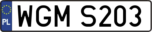 WGMS203