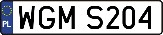 WGMS204
