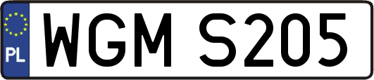 WGMS205