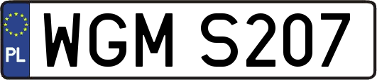 WGMS207